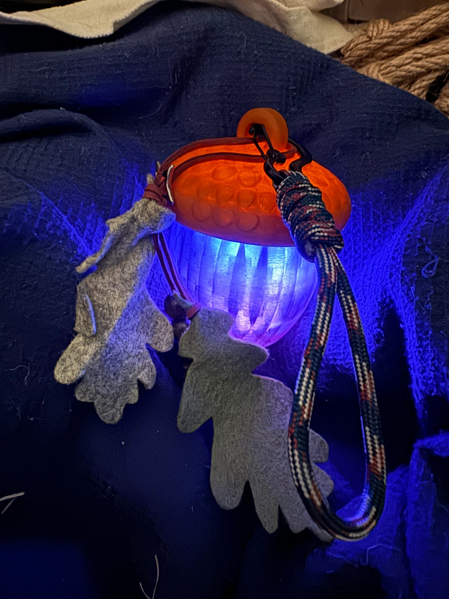 Magical Glowing Acorns
