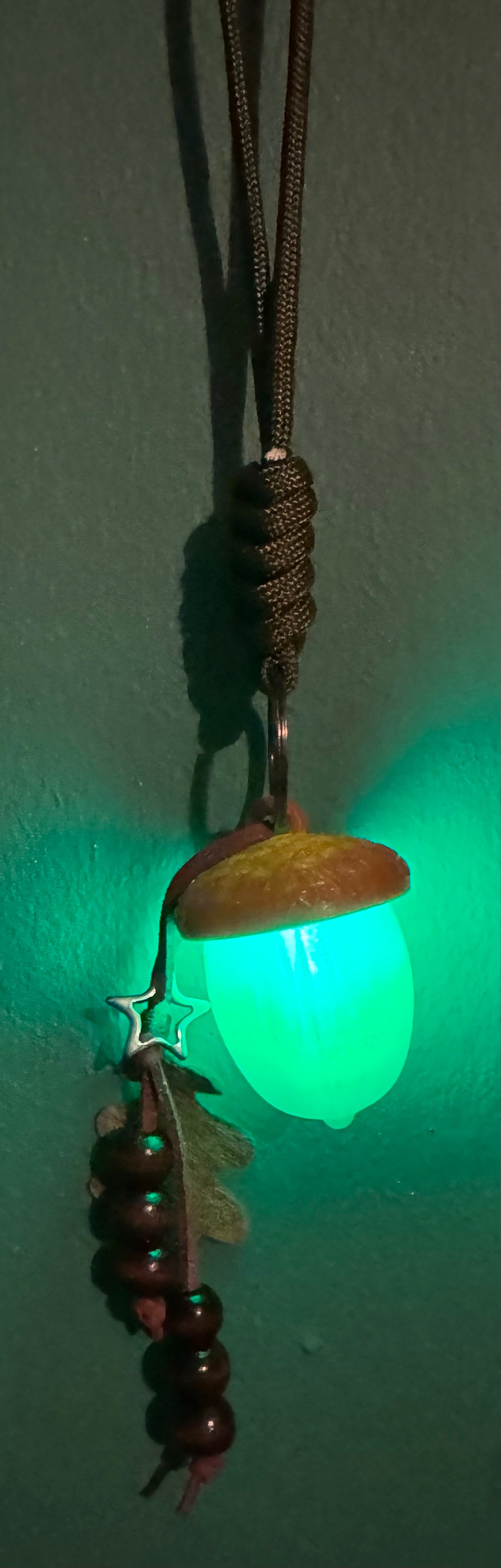 Magical Glowing Acorns