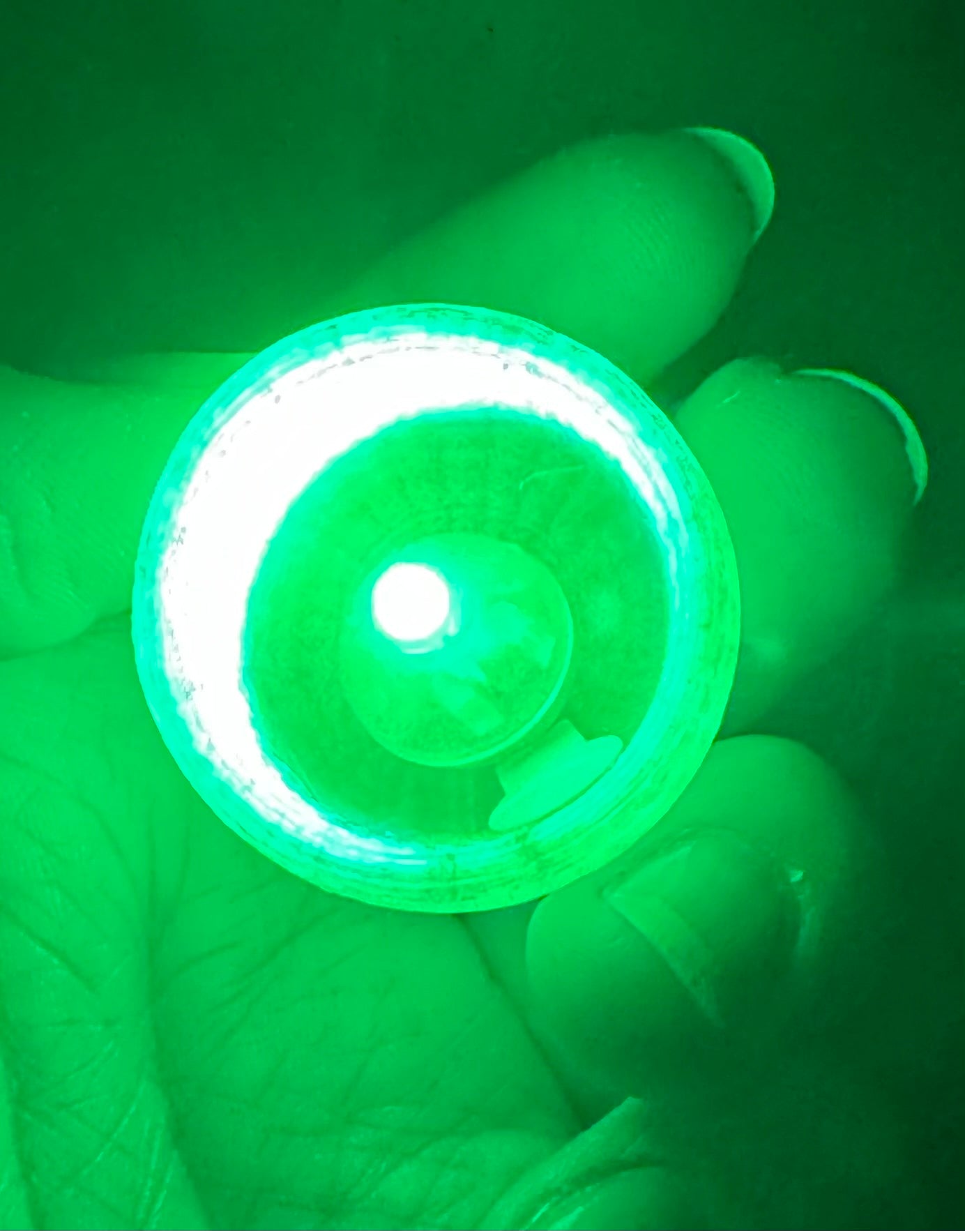 Magical Glowing Acorns