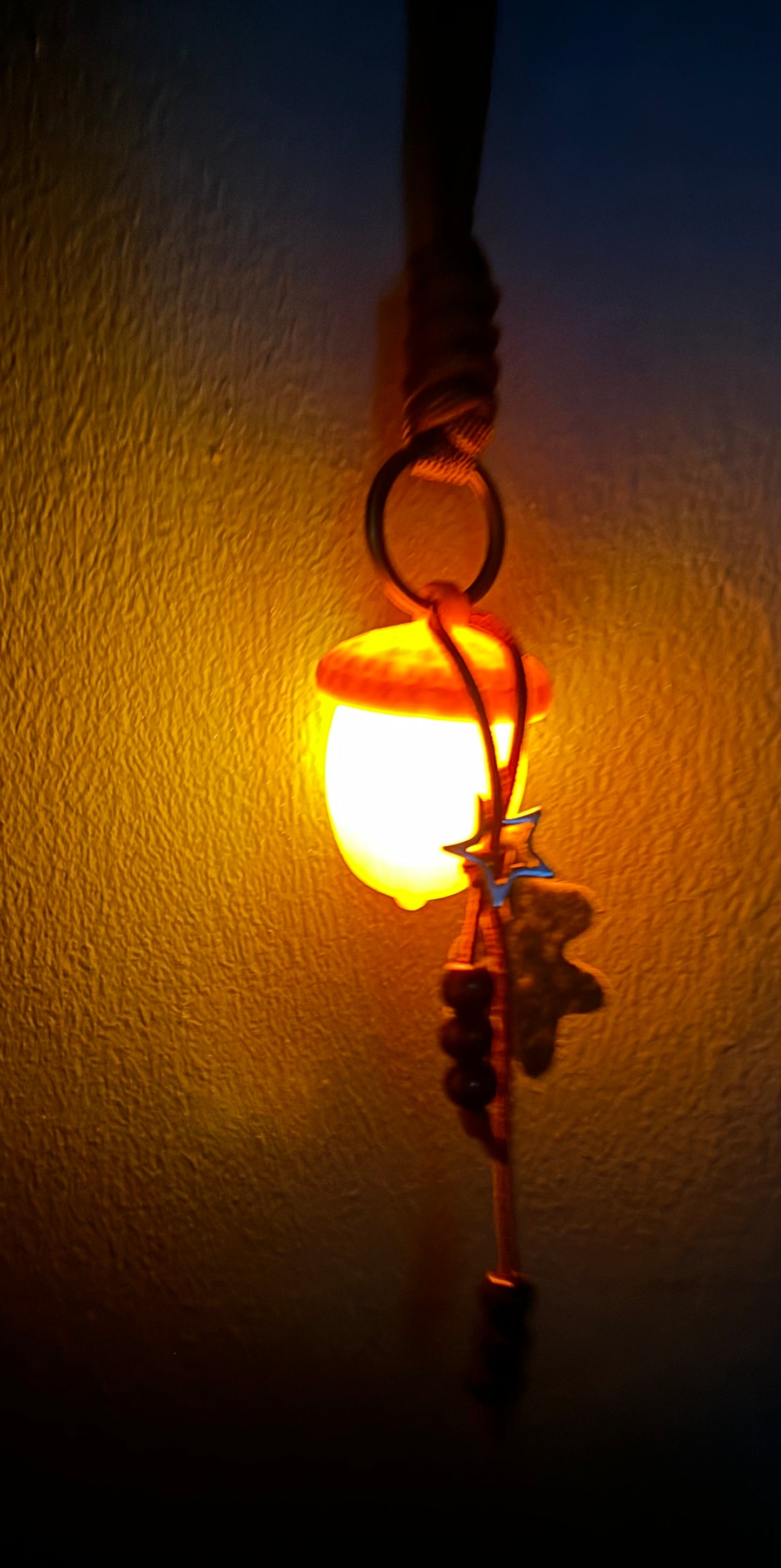 Magical Glowing Acorns