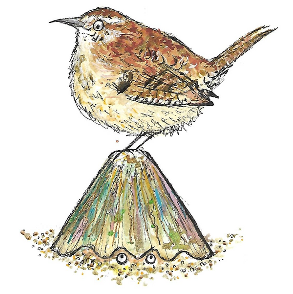 The Wren And Limpet